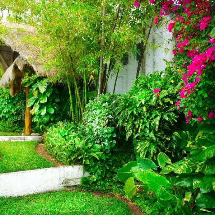 A Garden Filled With Lots of Green Plants and Pink Flowers — Brendan's Landscaping and Fencing In Burnett Heads, QLD
