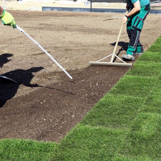 A Man is Raking Dirt on a Lush Green Field — Brendan's Landscaping and Fencing In Bundaberg, QLD