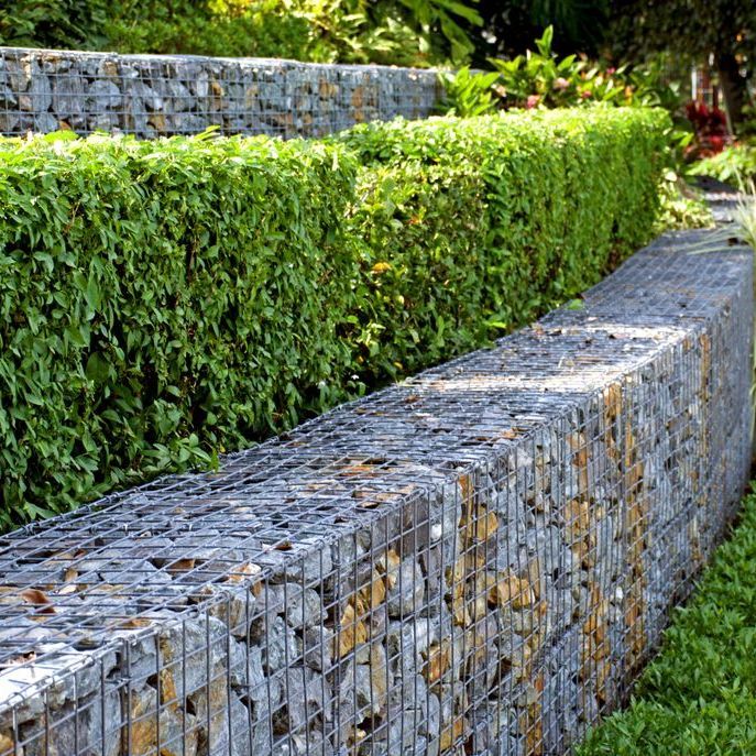 A Stone Wall With a Hedge Behind It in a Garden — Brendan's Landscaping and Fencing In Burnett Heads, QLD