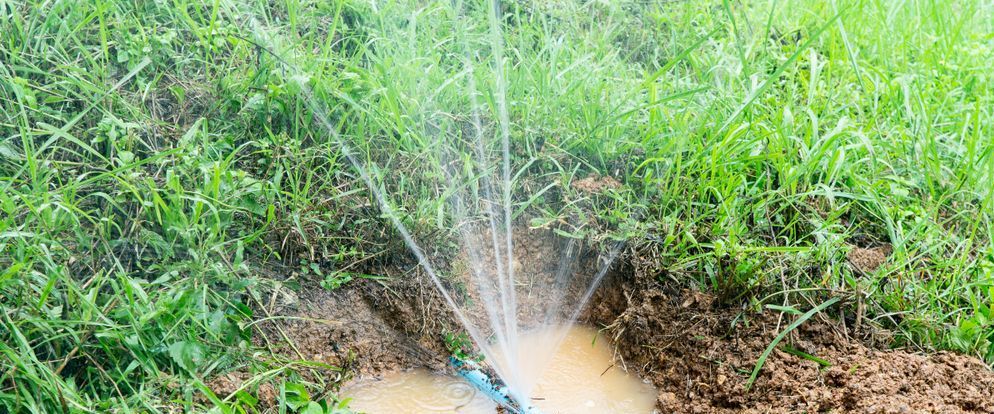 A Sprinkler is Spraying Water on a Lush Green Lawn — Brendan's Landscaping and Fencing In Bundaberg, QLD