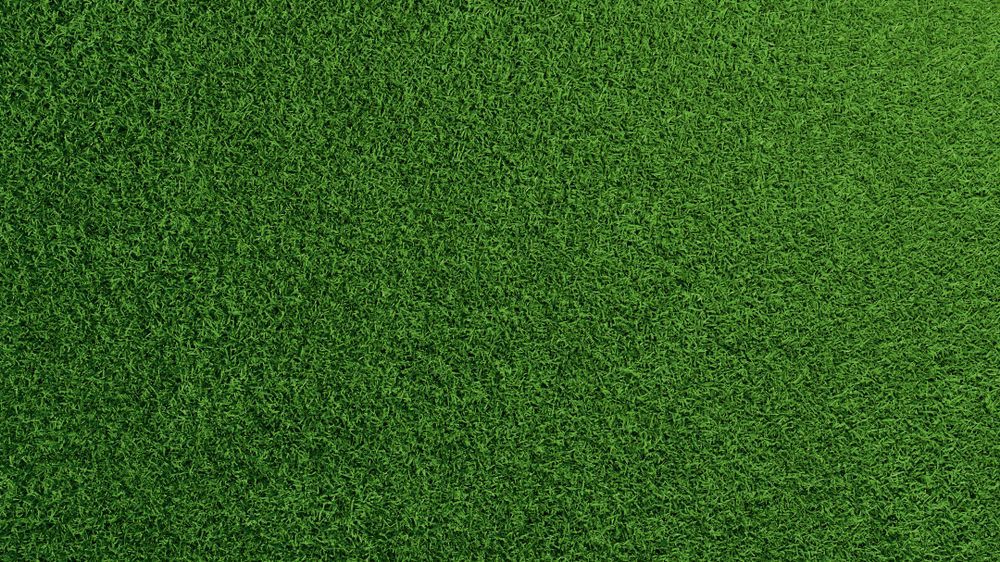 A Man is Raking Dirt on a Lush Green Field  — Brendan's Landscaping and Fencing In Bundaberg, QLD