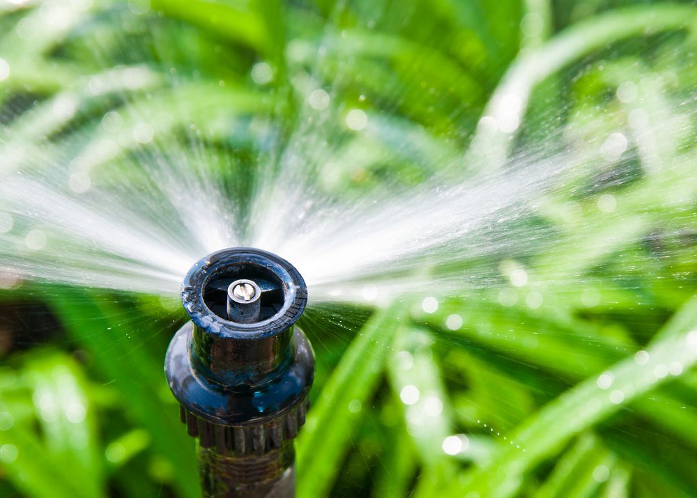 A Close Up of a Sprinkler Spraying Water on a Lush Green Field — Brendan's Landscaping and Fencing In Bundaberg, QLD