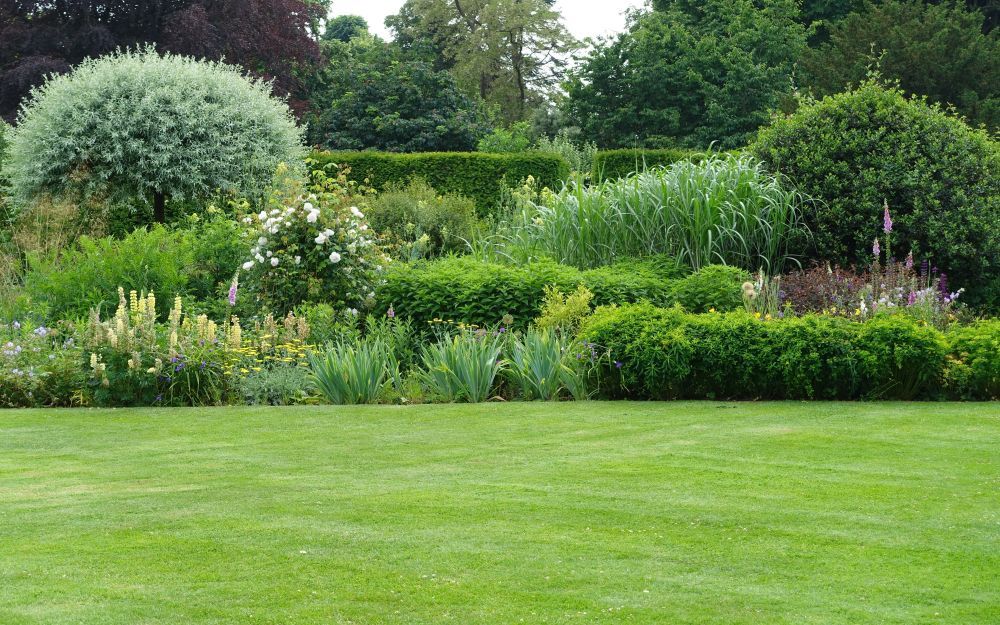 A Lush Green Lawn Surrounded by Trees and Bushes in a Garden — Brendan's Landscaping and Fencing In Bundaberg, QLD