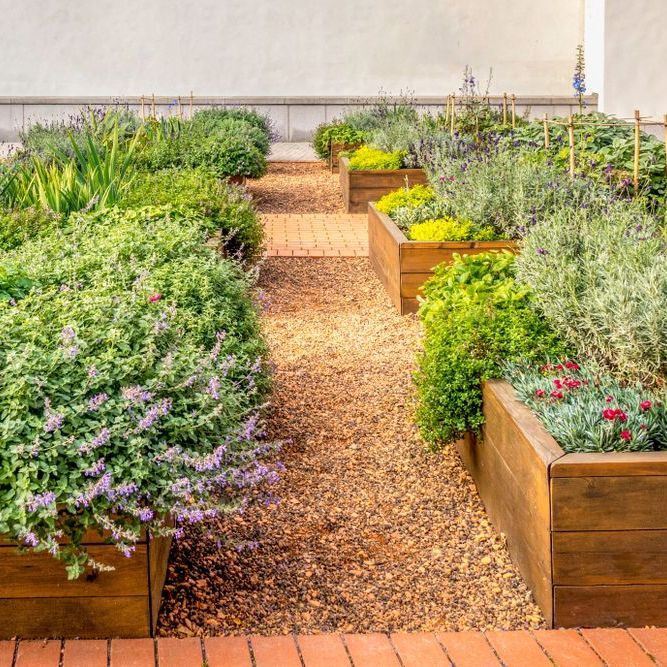 A Garden With Wooden Planters Filled With Plants and Flowers — Brendan's Landscaping and Fencing In Bundaberg, QLD