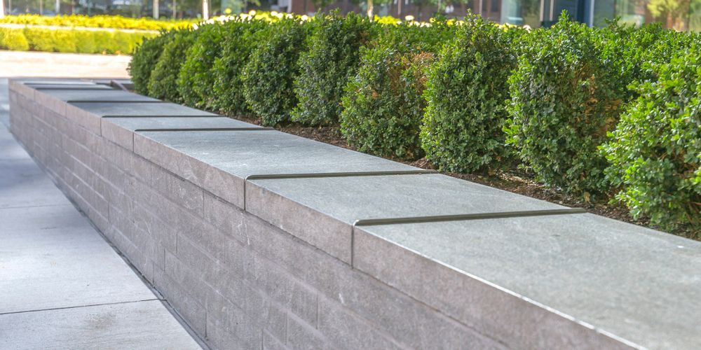 A Concrete Wall With a Row of Bushes Growing on It — Brendan's Landscaping and Fencing In Bundaberg, QLD