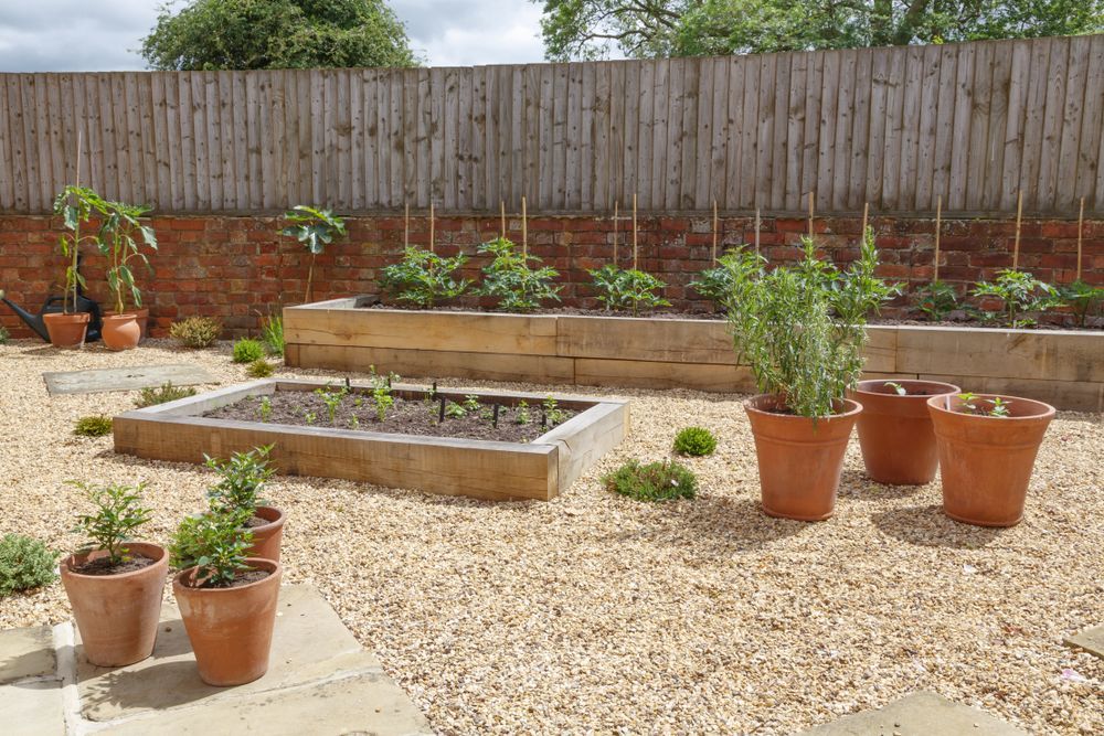 A Garden With Lots of Potted Plants and a Wooden Fence — Brendan's Landscaping and Fencing In Bundaberg, QLD