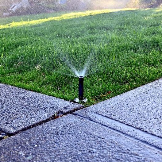 A Sprinkler is Spraying Water on a Green Lawn Next to a Sidewalk — Brendan's Landscaping and Fencing In Moore Park Beach, QLD