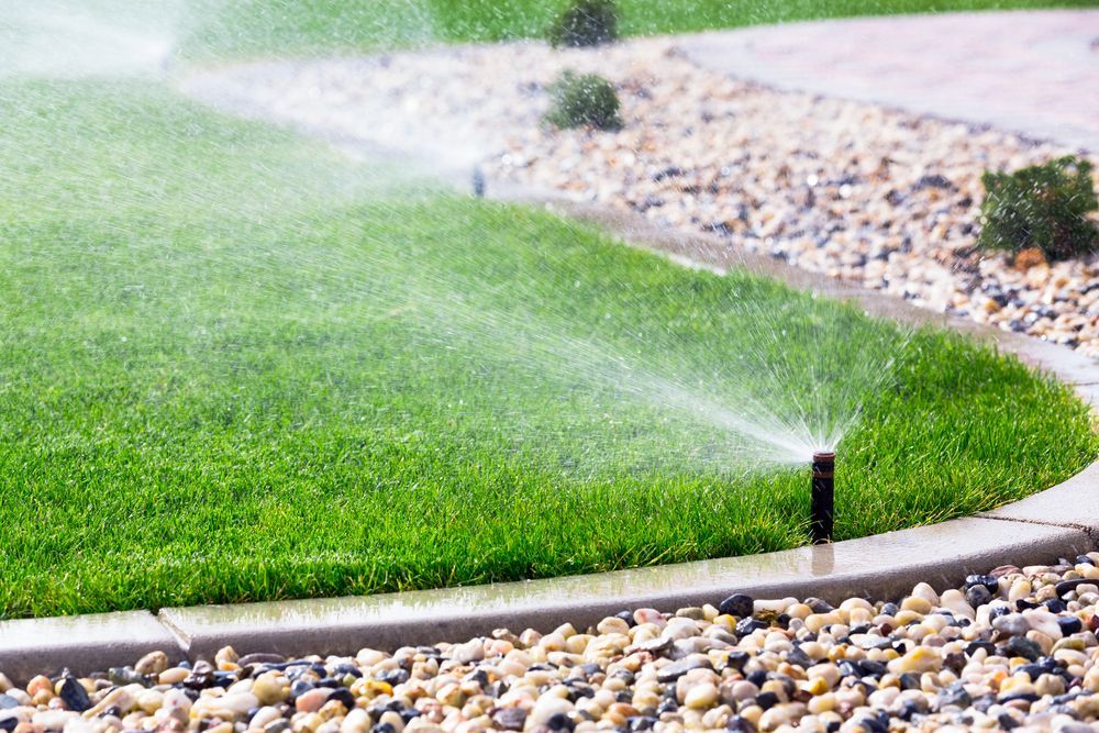 A Lawn Sprinkler is Spraying Water on a Lush Green Lawn — Brendan's Landscaping and Fencing In Bundaberg, QLD