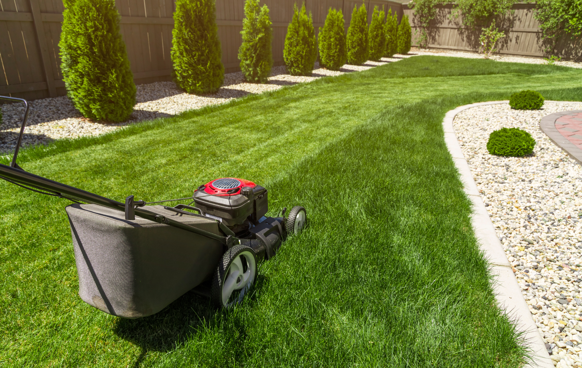 A lawn mower is cutting a lush green lawn in a backyard.
