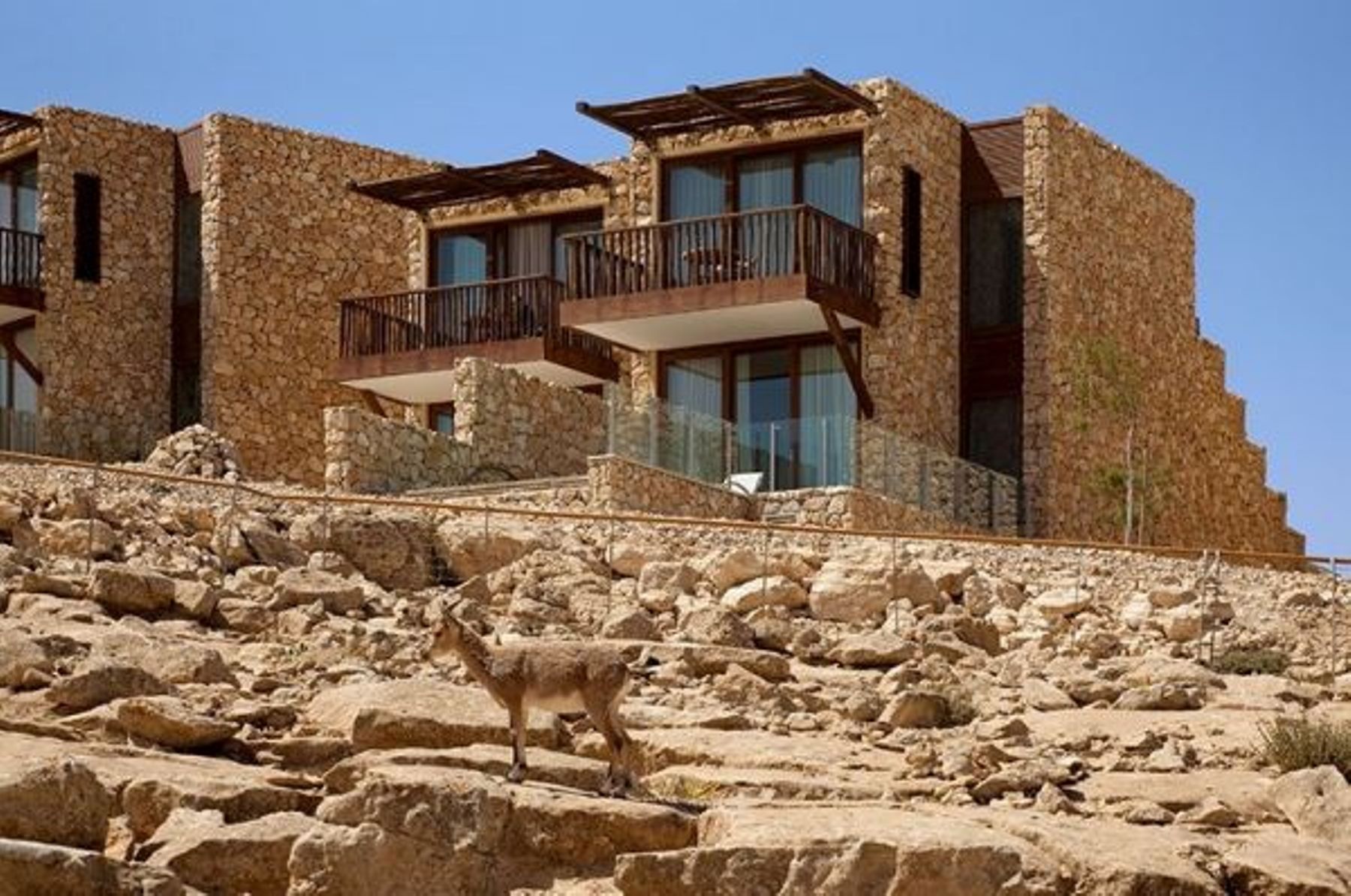 גיל הופמן - טיולי אטרקציות בישראל