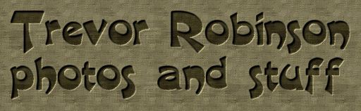 trevor robinson logo
