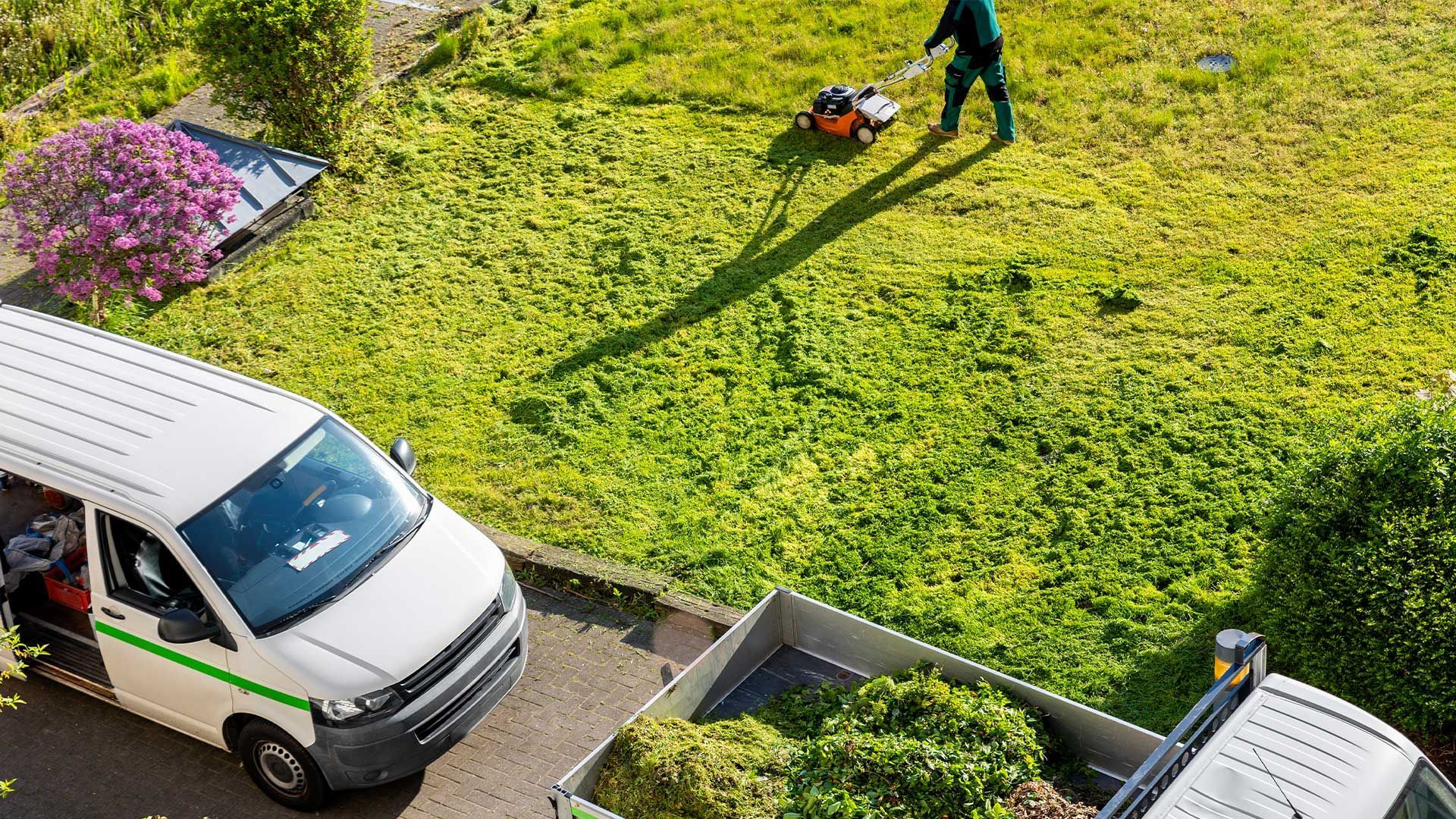 Unclutter Your Landscape The Comprehensive Guide to Tree and Brush Removal