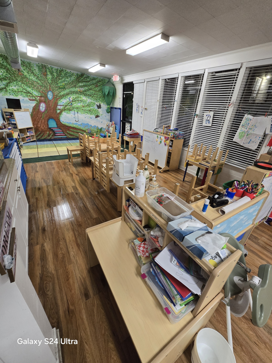 A classroom interior with wooden floors, small chairs at tables, a mural of a large tree, and shelves with school supplies.