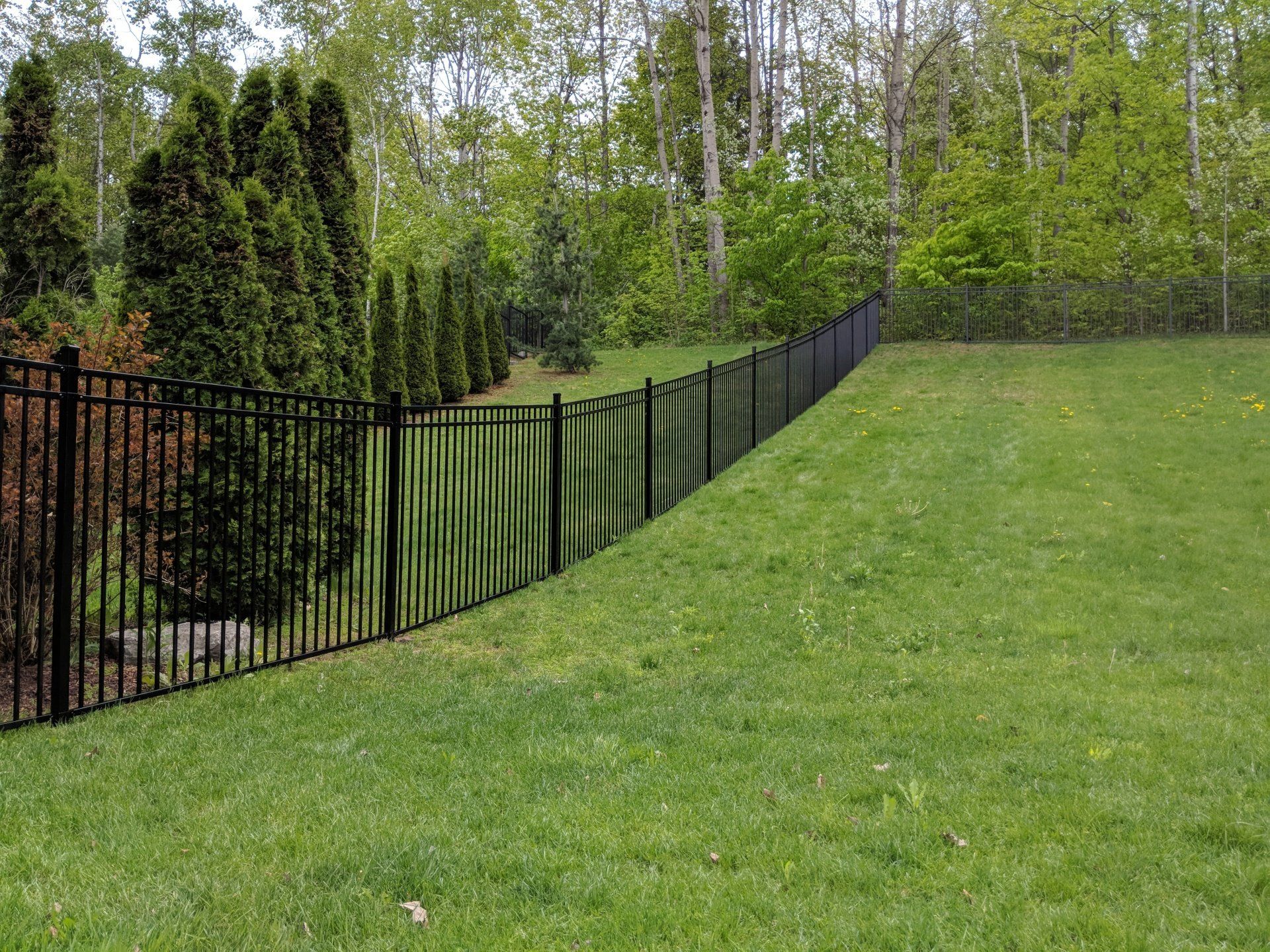 ornamental iron fence