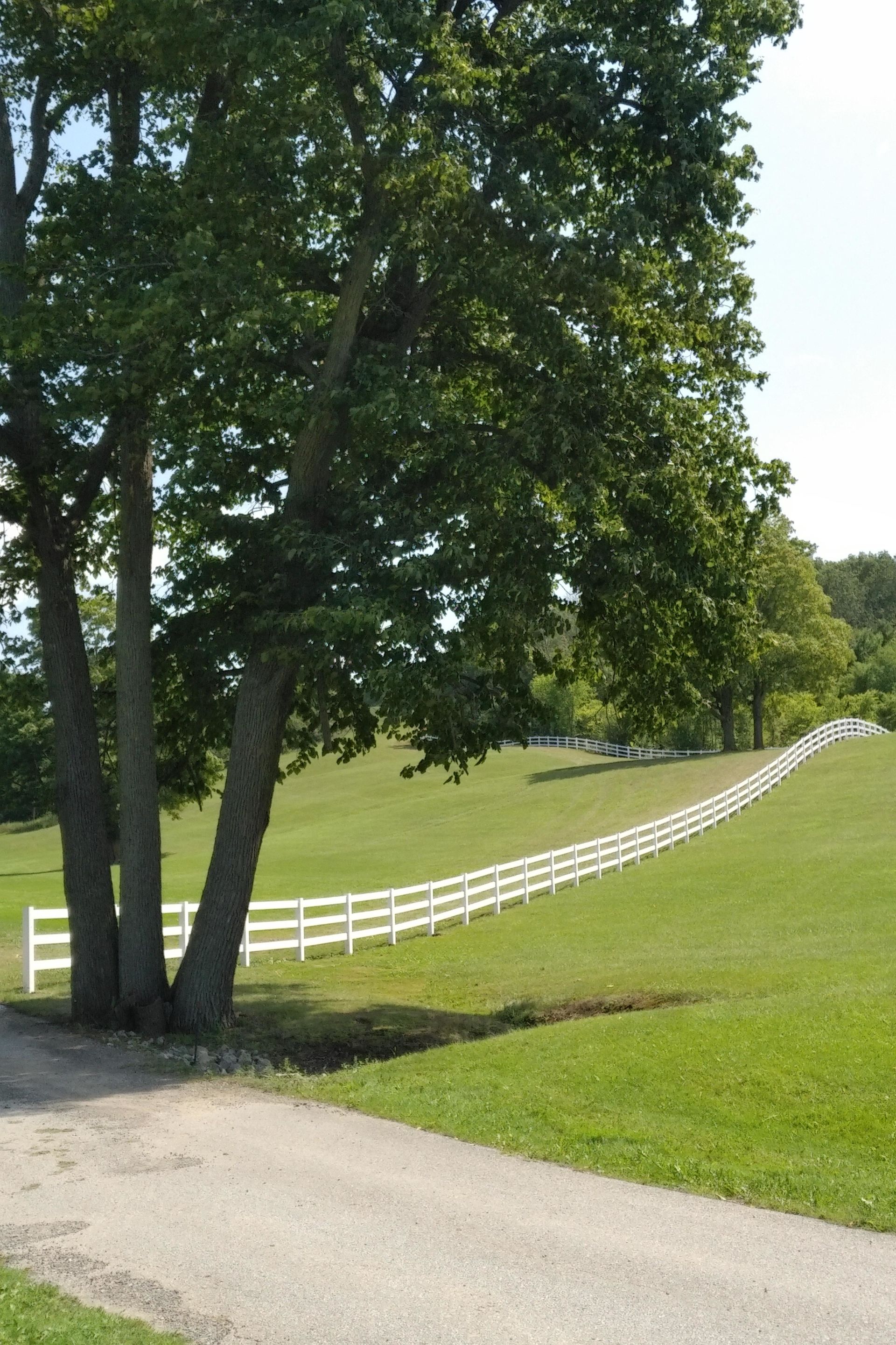 white vinyl ranch rail fence