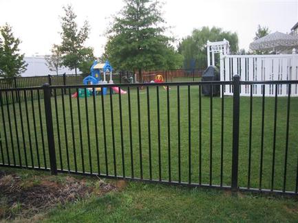 ornamental iron fence