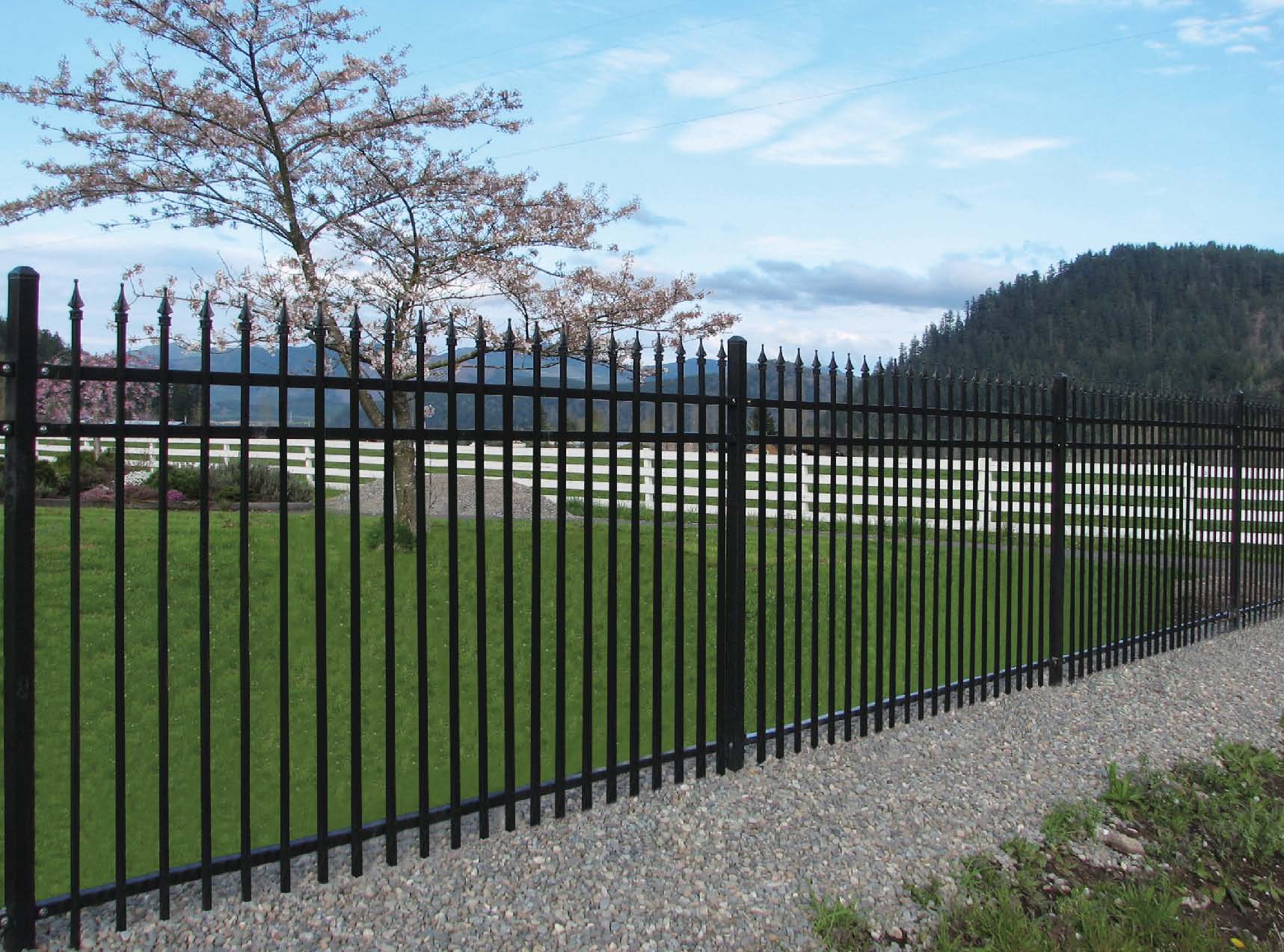 ornamental iron fence