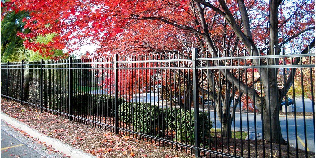 ornamental iron fence