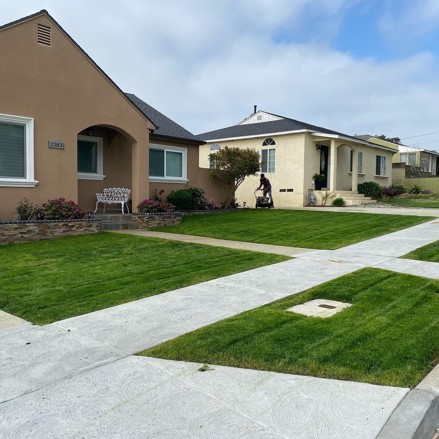 Suburban houses with manicured green lawns and concrete sidewalks on a sunny day.