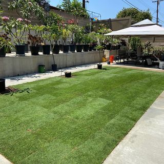 A freshly mowed green lawn in a backyard, lined with potted plants and a white gazebo.