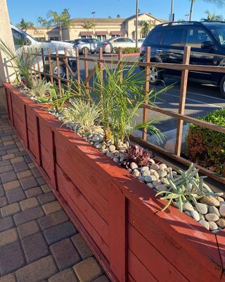 Red planter box with succulents and small rocks next to a brown metal fence. Background is parking lot.