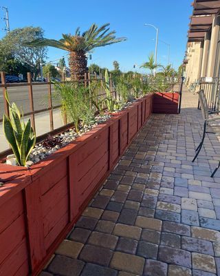 Red planter box with plants along a brick pathway next to a building, with palm trees and fence.