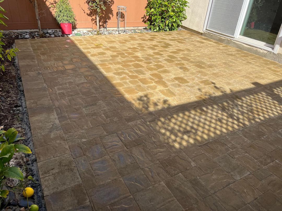 Paved patio with brown tiles, sunlight, bordering plants, and a sliding glass door.