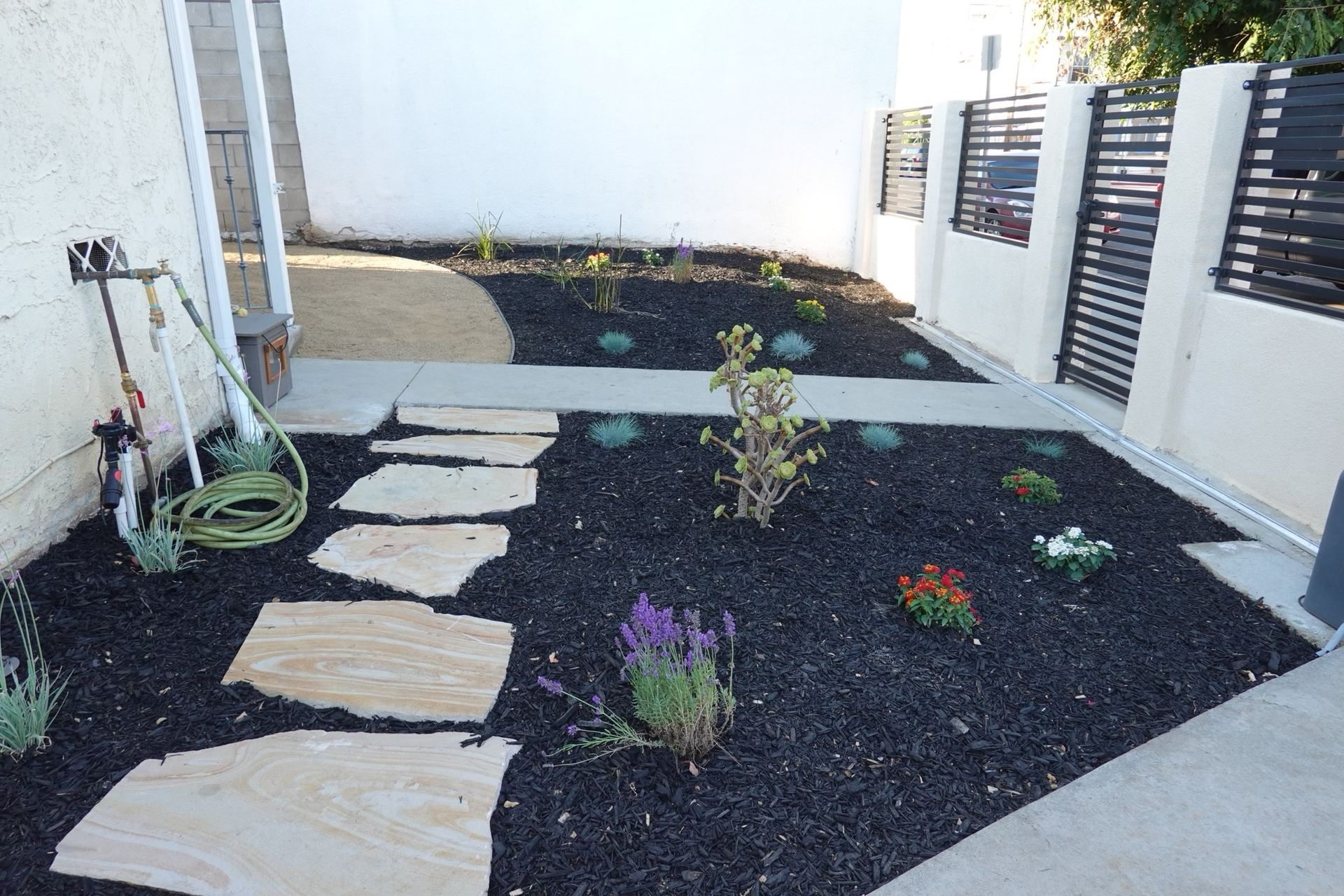 A small landscaped yard with flagstone path and dark mulch, plants against white walls and fence.