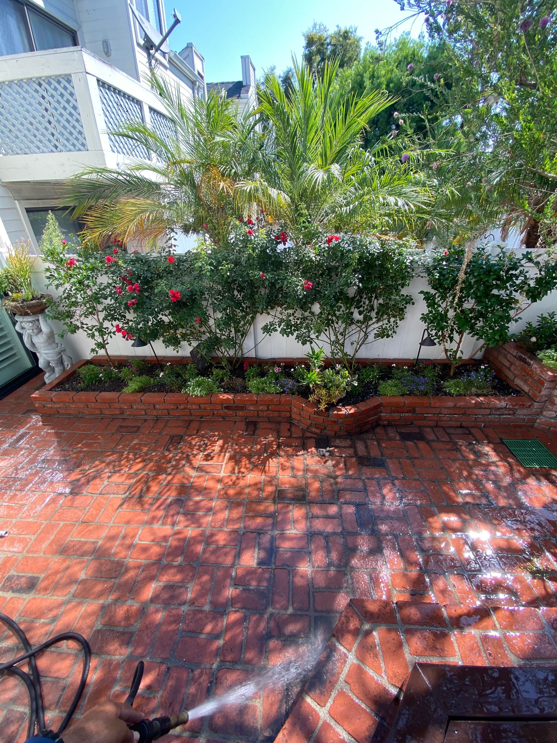 Person power washing a red brick patio with a flower bed along a white wall; greenery and roses.