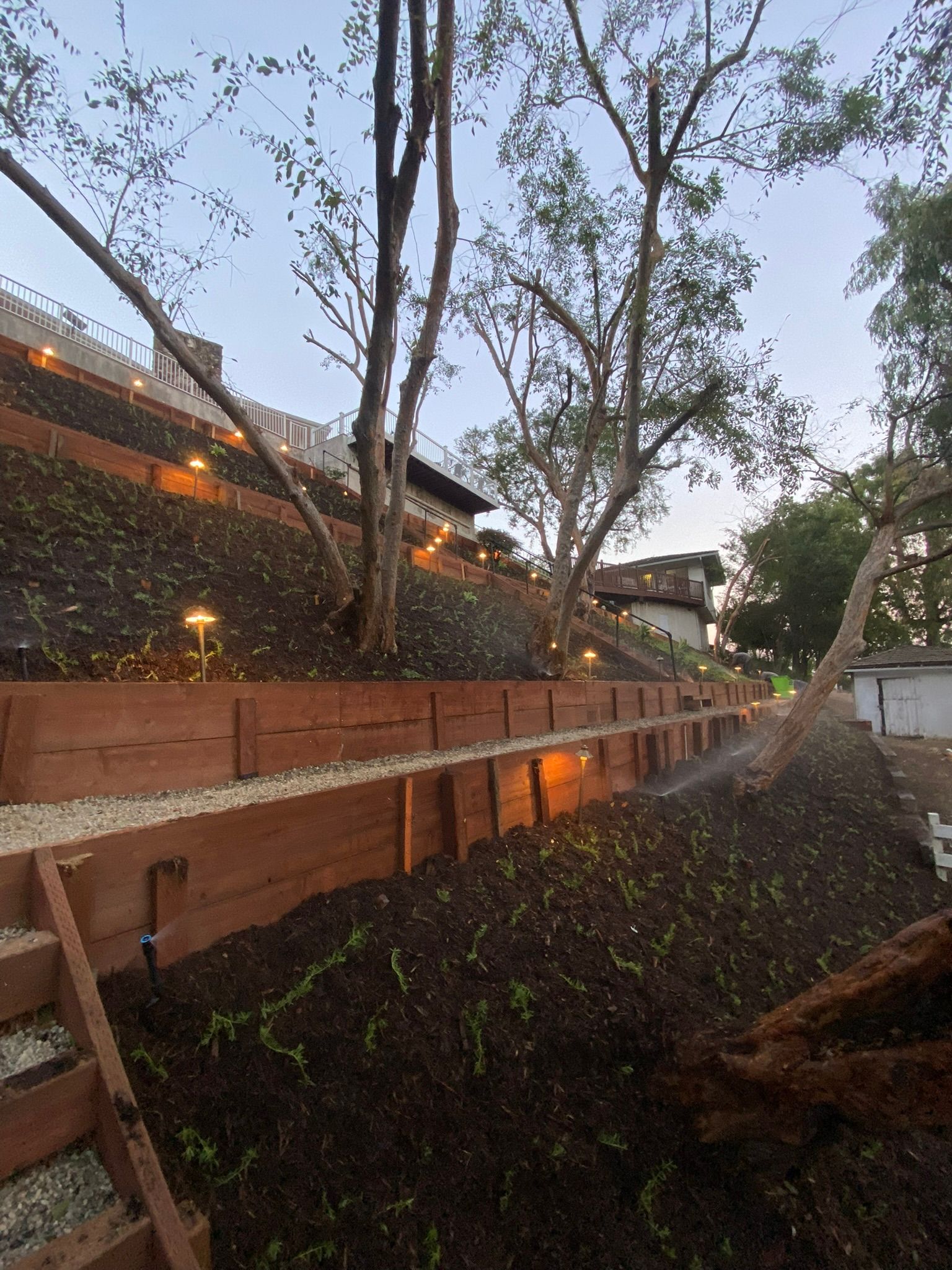 Terraced hillside garden with wooden retaining walls and small lights, trees, and a building in the background.