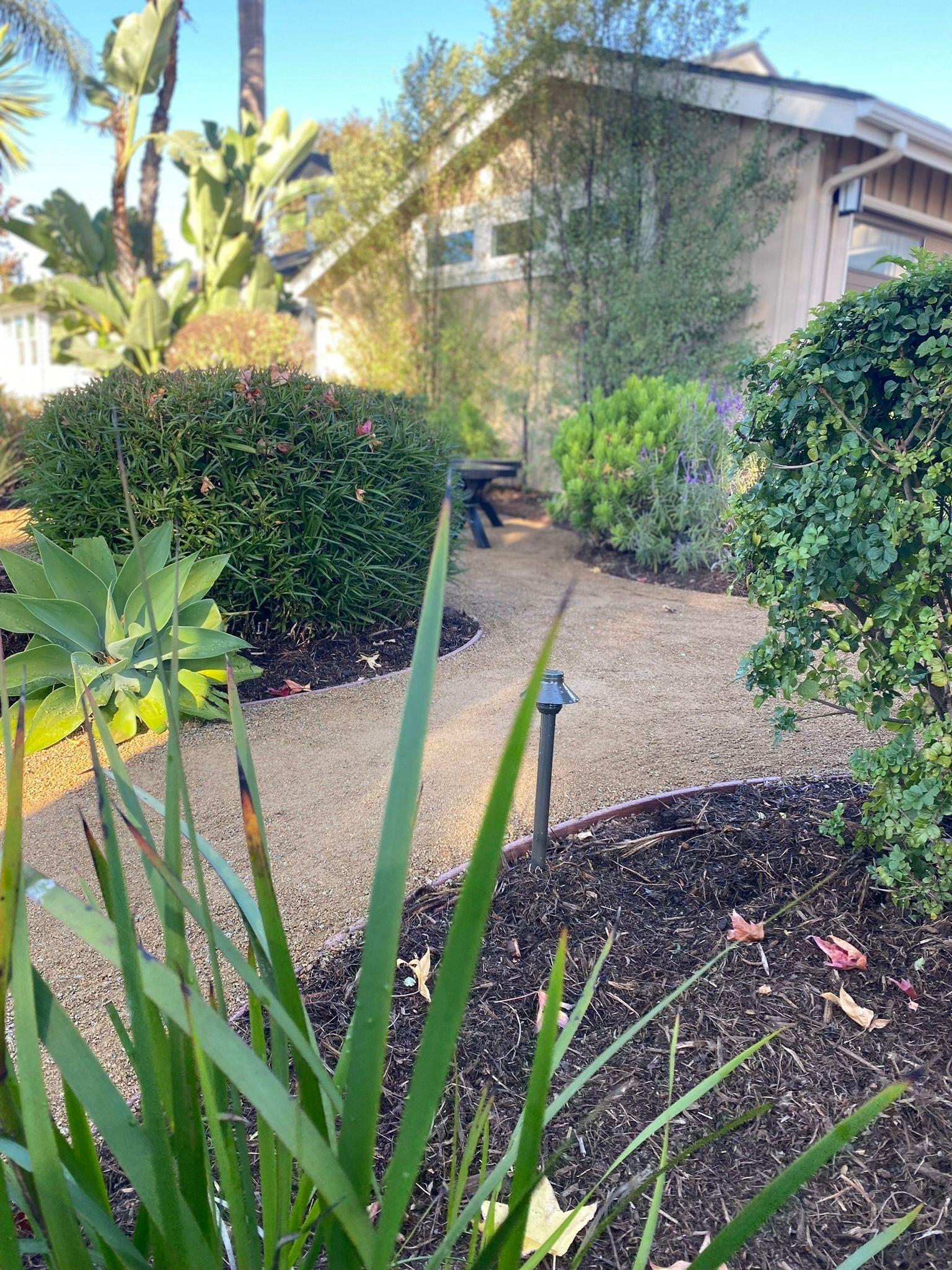 Gravel path leads toward a house, surrounded by lush greenery including shrubs and grasses; sunny outdoor scene.