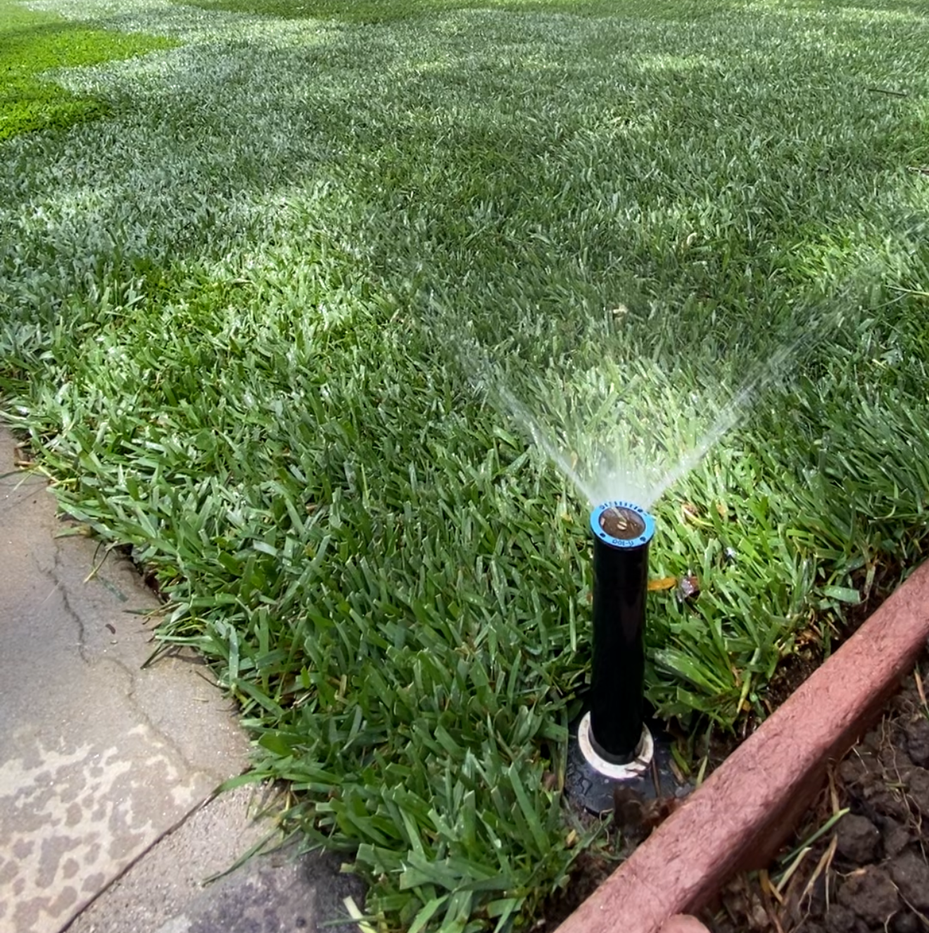 Sprinkler watering green grass in a yard next to a sidewalk and a brick border.