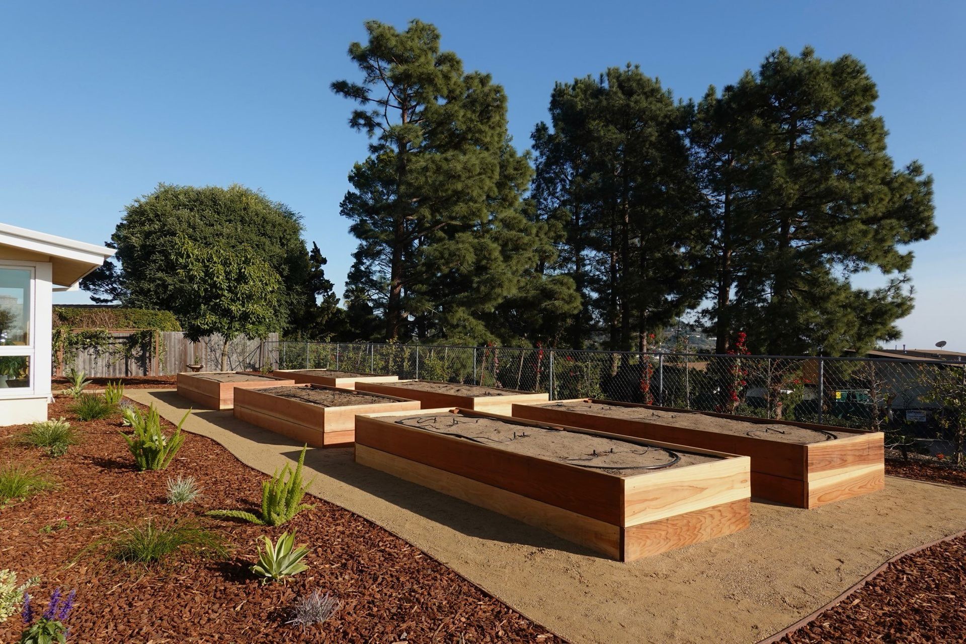 Raised wooden garden beds with mulch and tan gravel path, under a blue sky.