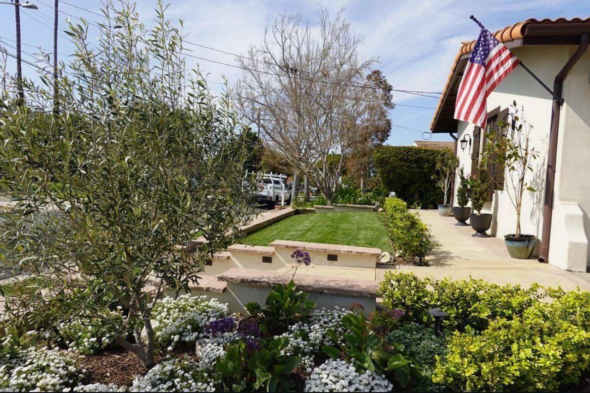 House exterior with American flag, olive tree, and landscaped garden.