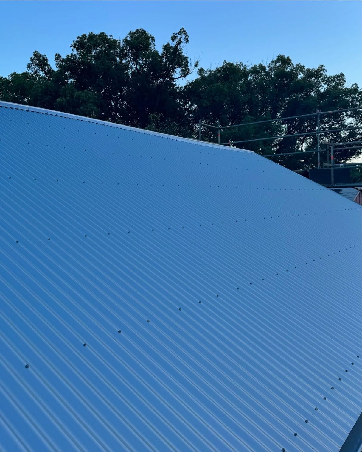 Corrugated Metal Roof Against a Backdrop of Green Trees and a Clear Sky — Ace Metal Roofing in Waterview Heights, NSW