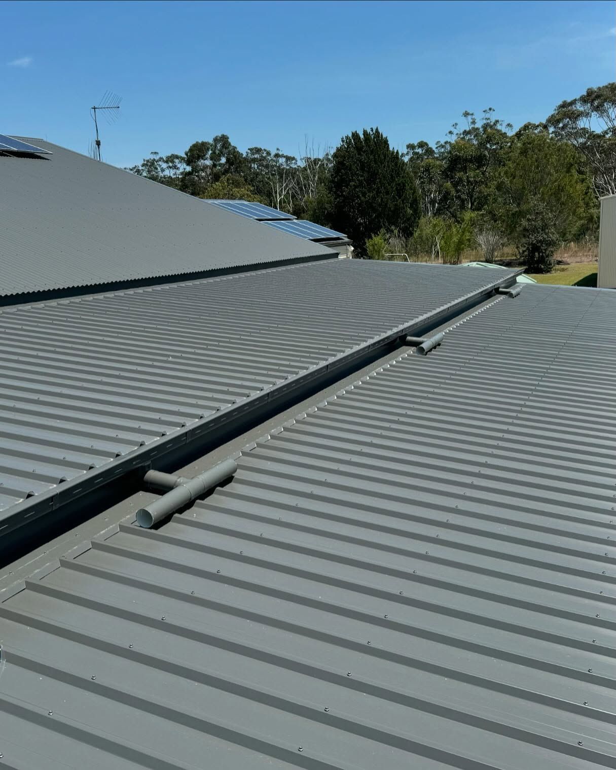 Gray Metal Roof With Drainage Pipes, Blue Sky, and Trees in the Background — Ace Metal Roofing in Waterview Heights, NSW