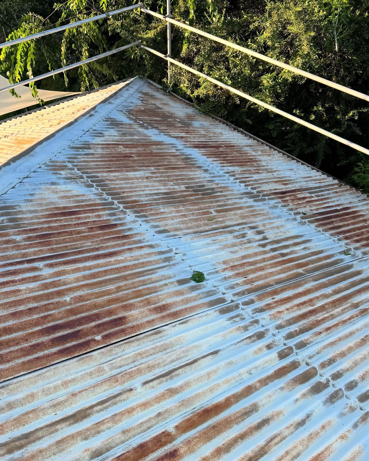 Corrugated Metal Roof With Rust Stains, Against a Green Foliage Background — Ace Metal Roofing in Waterview Heights, NSW