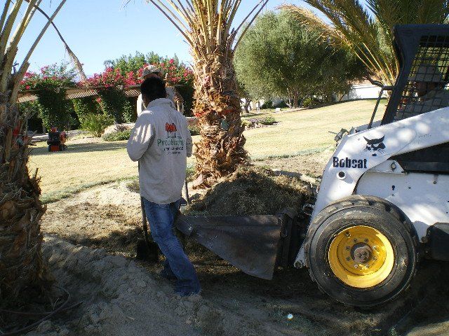 Man working on landscape, landscape design in Thousand Palms, CA Man working on landscape, landscape design in Thousand Palms, CA