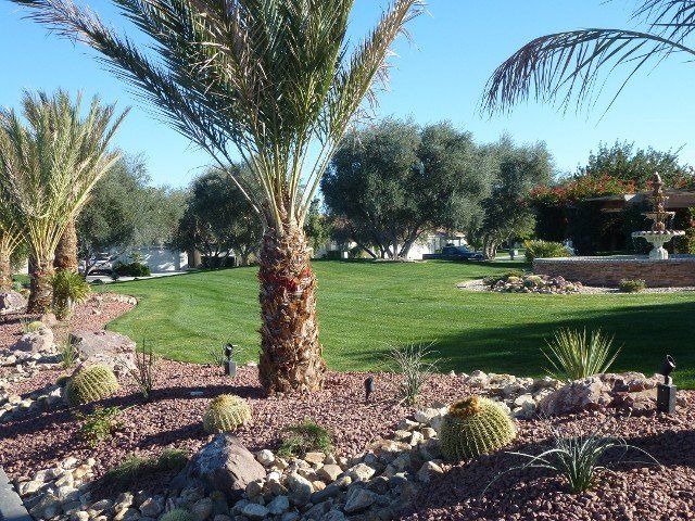Beautiful Yard, landscape design in Thousand Palms, CA Beautiful Yard, landscape design in Thousand Palms, CA