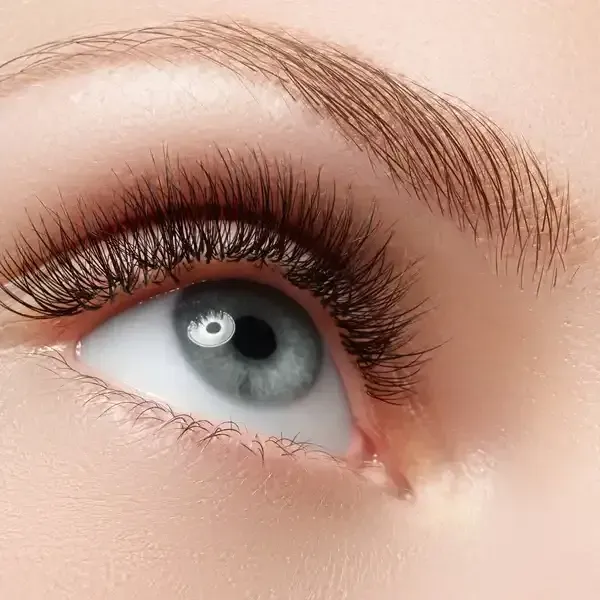 Close-up of a blue eye with long, dark eyelashes and a full, light brown eyebrow.