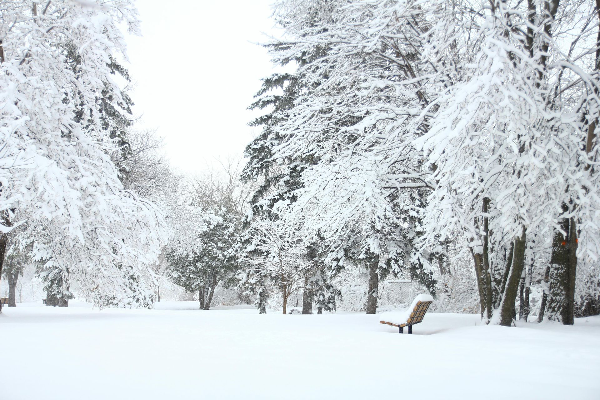 snow on ground