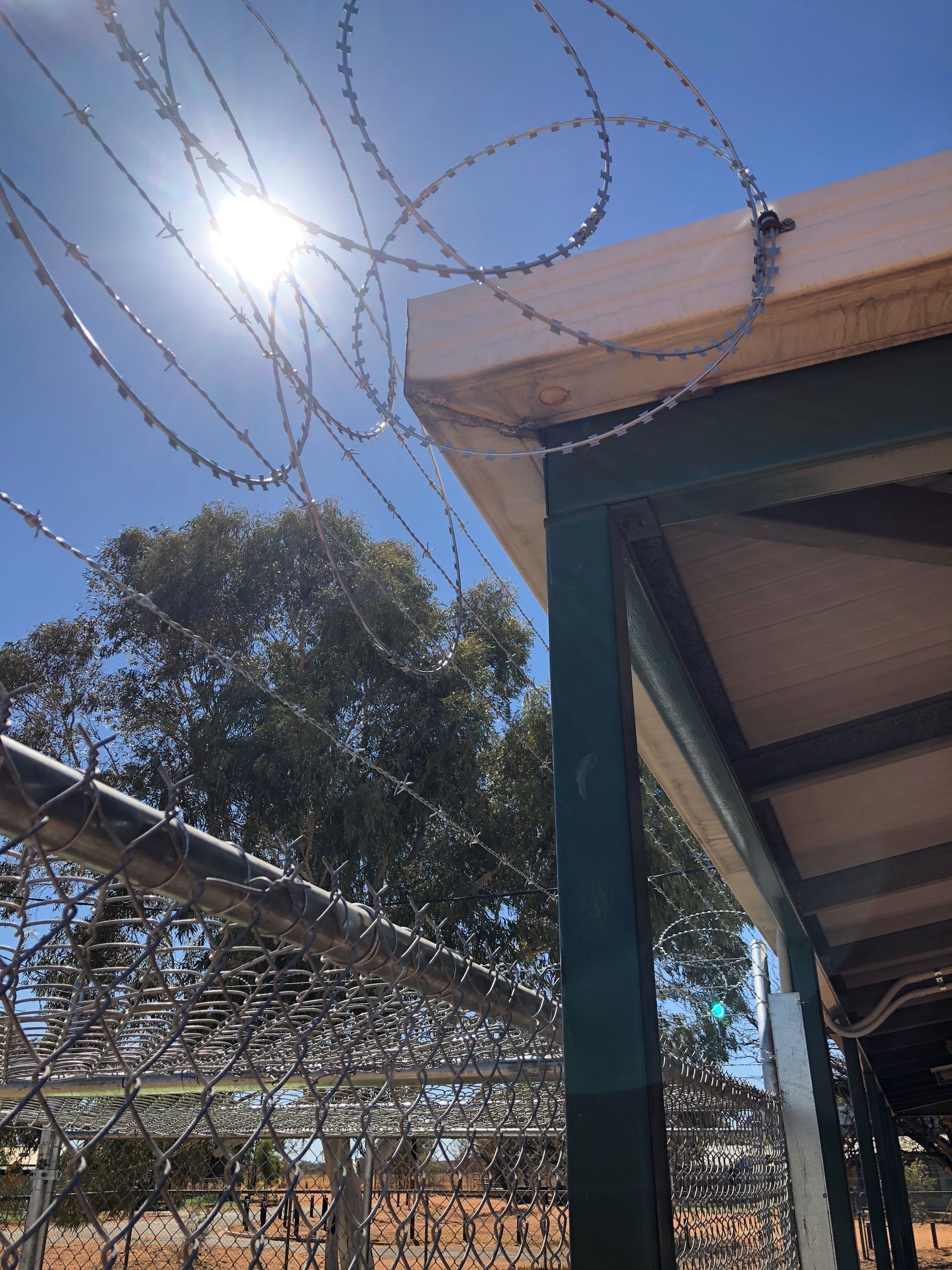 A barbed wire fence with the sun shining through it