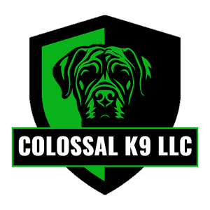 The logo for colossal k9 llc shows a dog on a green shield.