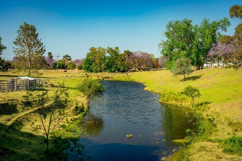 A Serene Landscape With a Calm River, Lush Green Grass — Mid North Coast Solar Carports in Grafton, NSW