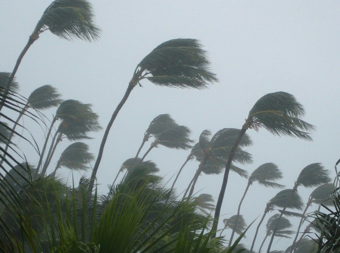 Management — Stormy Weather in Naples, FL