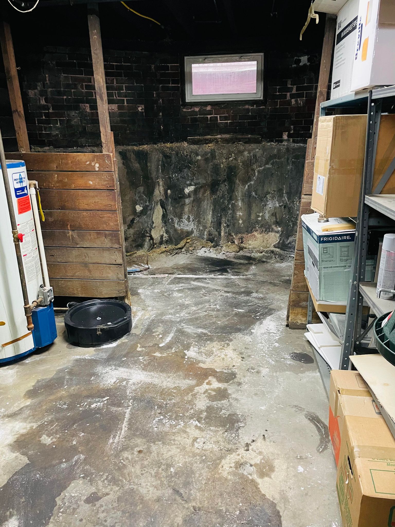 basement cleanout services