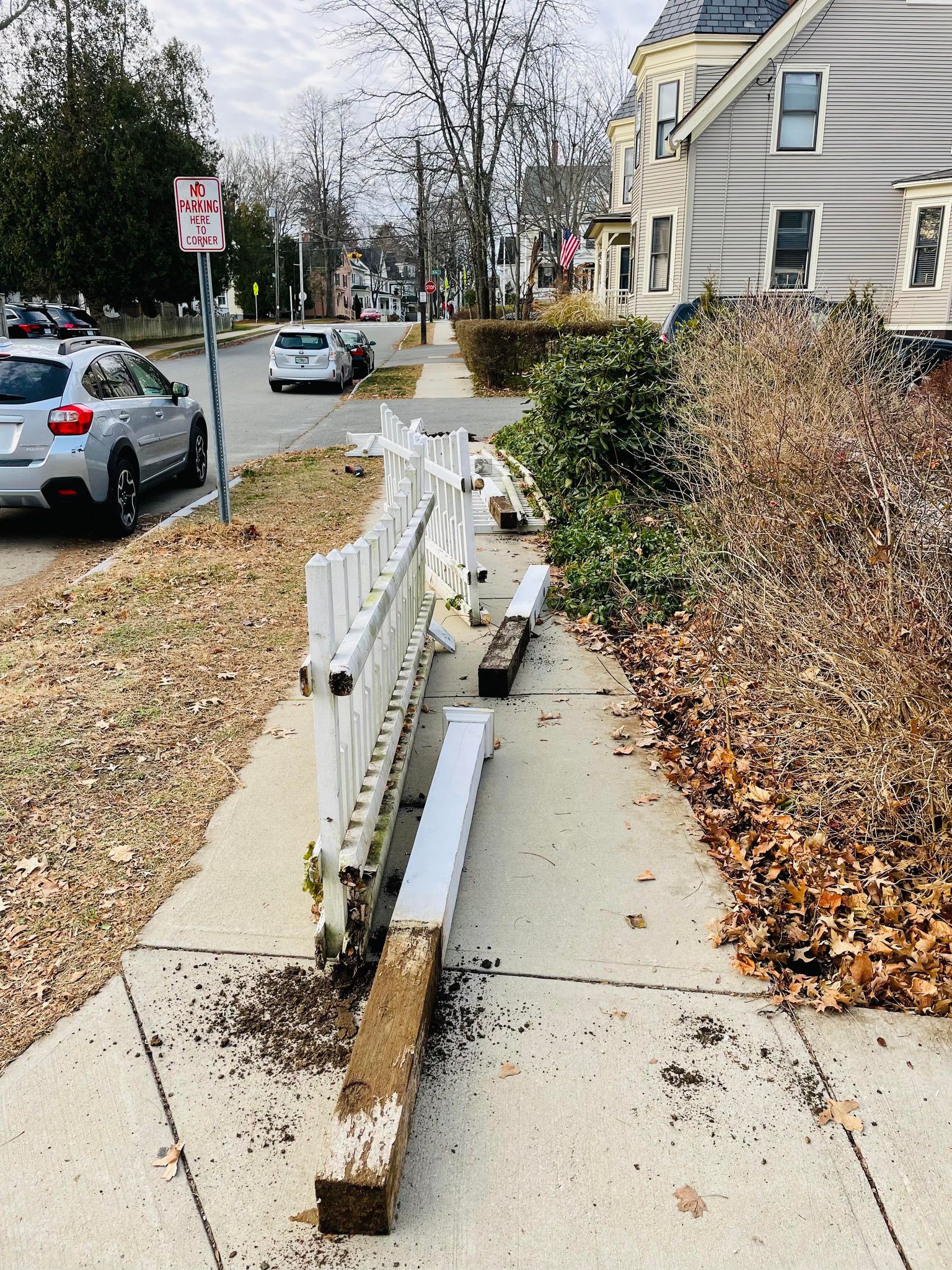 fence removal and yard cleanup