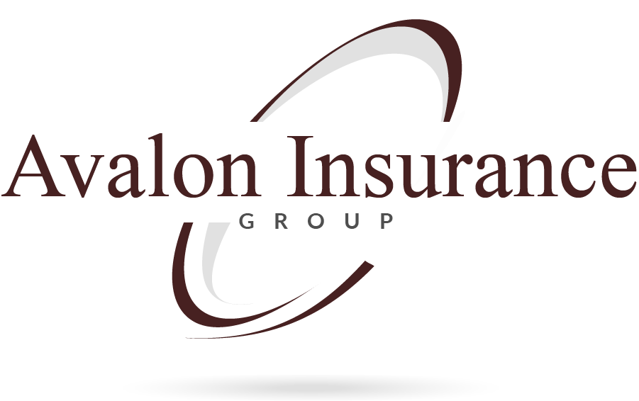 Avalon Insurance Group logo: Text over a stylized airplane with brown curved lines.