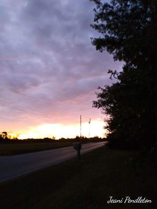 Sunset over a road, with trees silhouetted on the right. Pink and purple clouds.