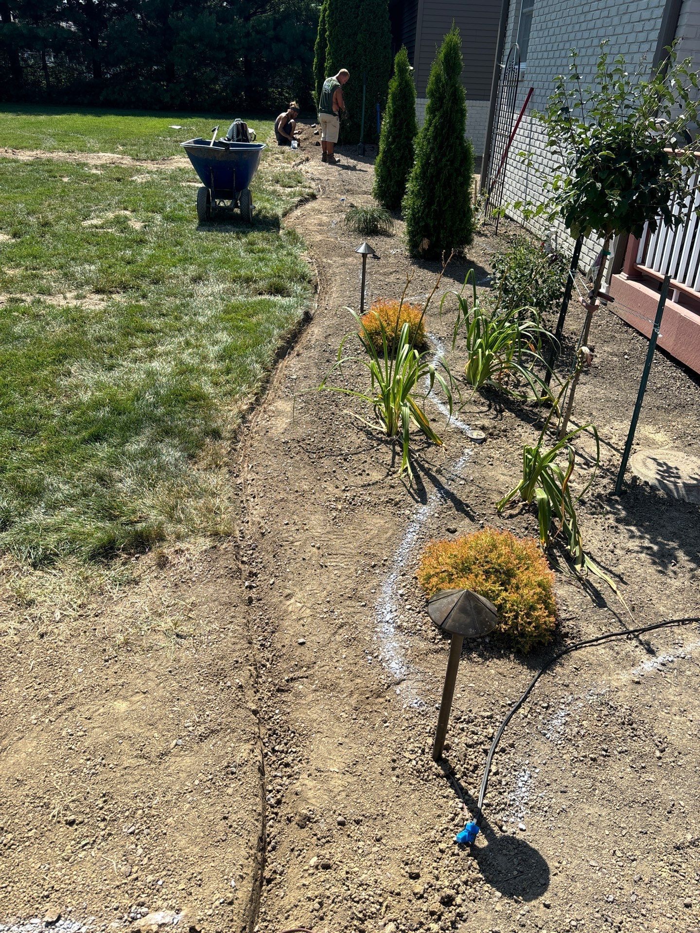 A garden with a wheelbarrow and a shovel in the middle of it.